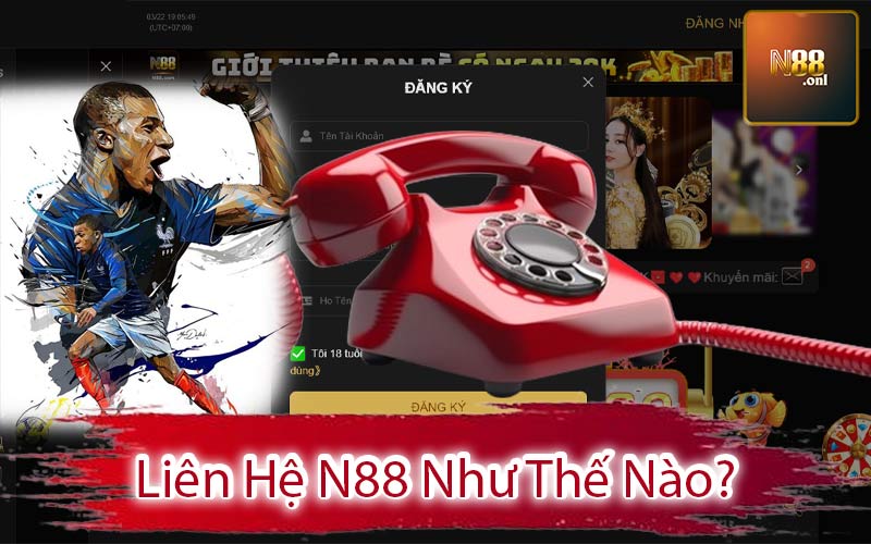 Liên Hệ N88 Như Thế Nào?